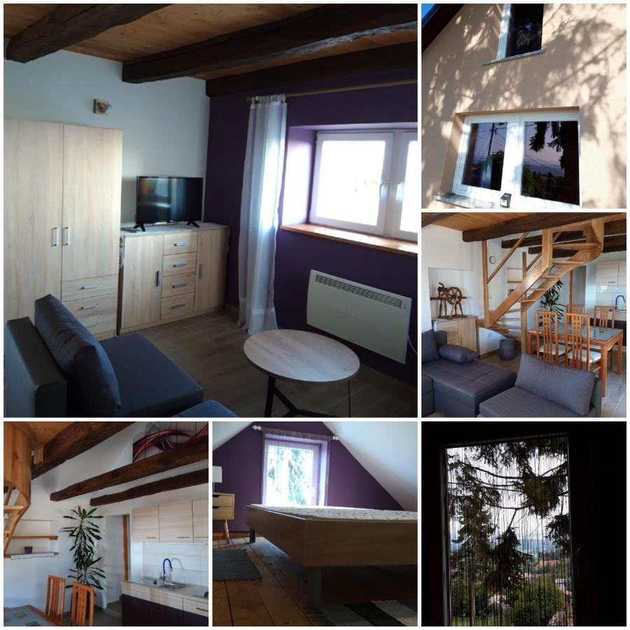 Zlatica Holiday home