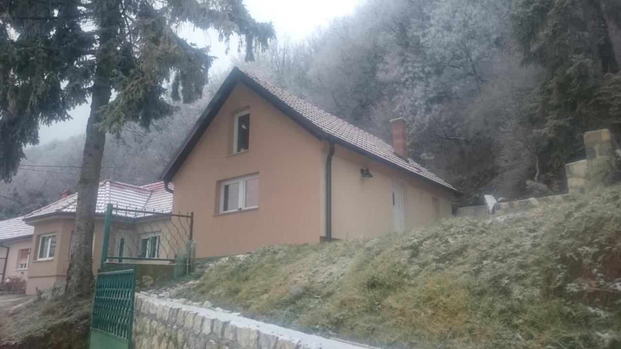 Zlatica *